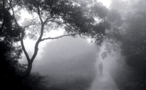 A person walking down a path in the fog.