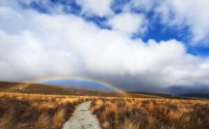 A rainbow over a path in a grassy field.