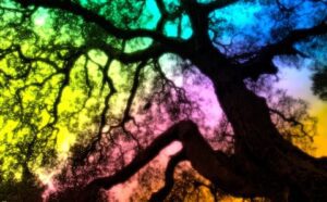 A rainbow colored tree with a rainbow colored background.