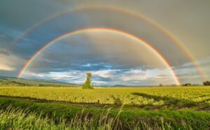 A double rainbow is seen over a field.