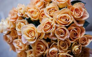 A bouquet of orange roses is in someone's hand.