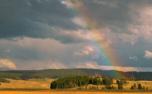 A rainbow in the sky over a grassy field.