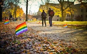 Lgbt pride flags in the fall.