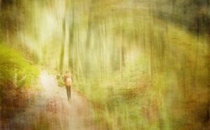 A woman walking down a path in the woods.