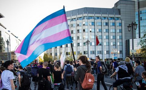 A group of people holding a transgender flag in a city.