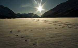 The sun is shining on a frozen lake with footprints in the snow.