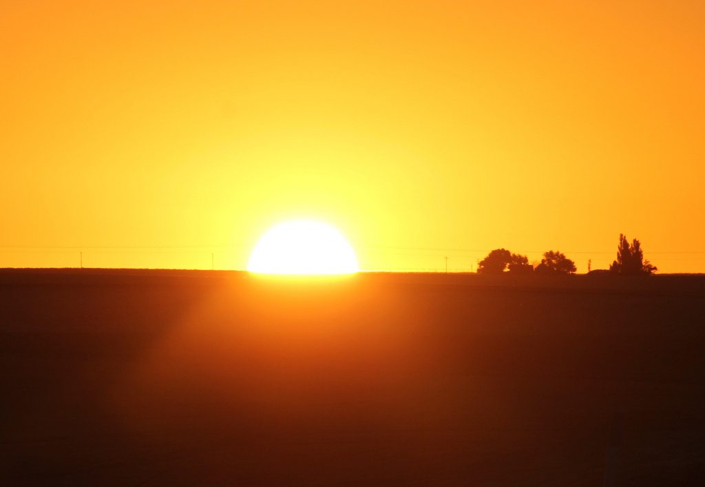 The sun is setting over a field with trees in the background.