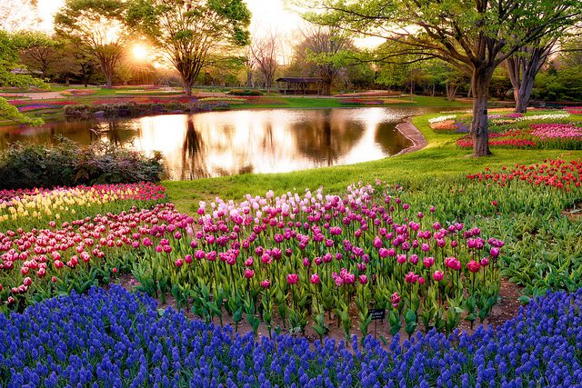 A garden with colorful flowers and a pond.