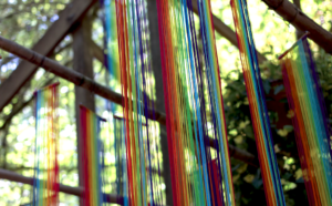 A rainbow colored string hanging from a tree.