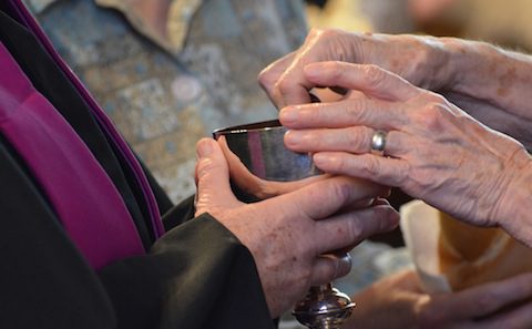 A close-up of hands holding a cup.