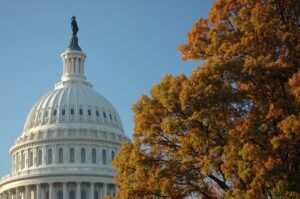 The capitol building is in the background.