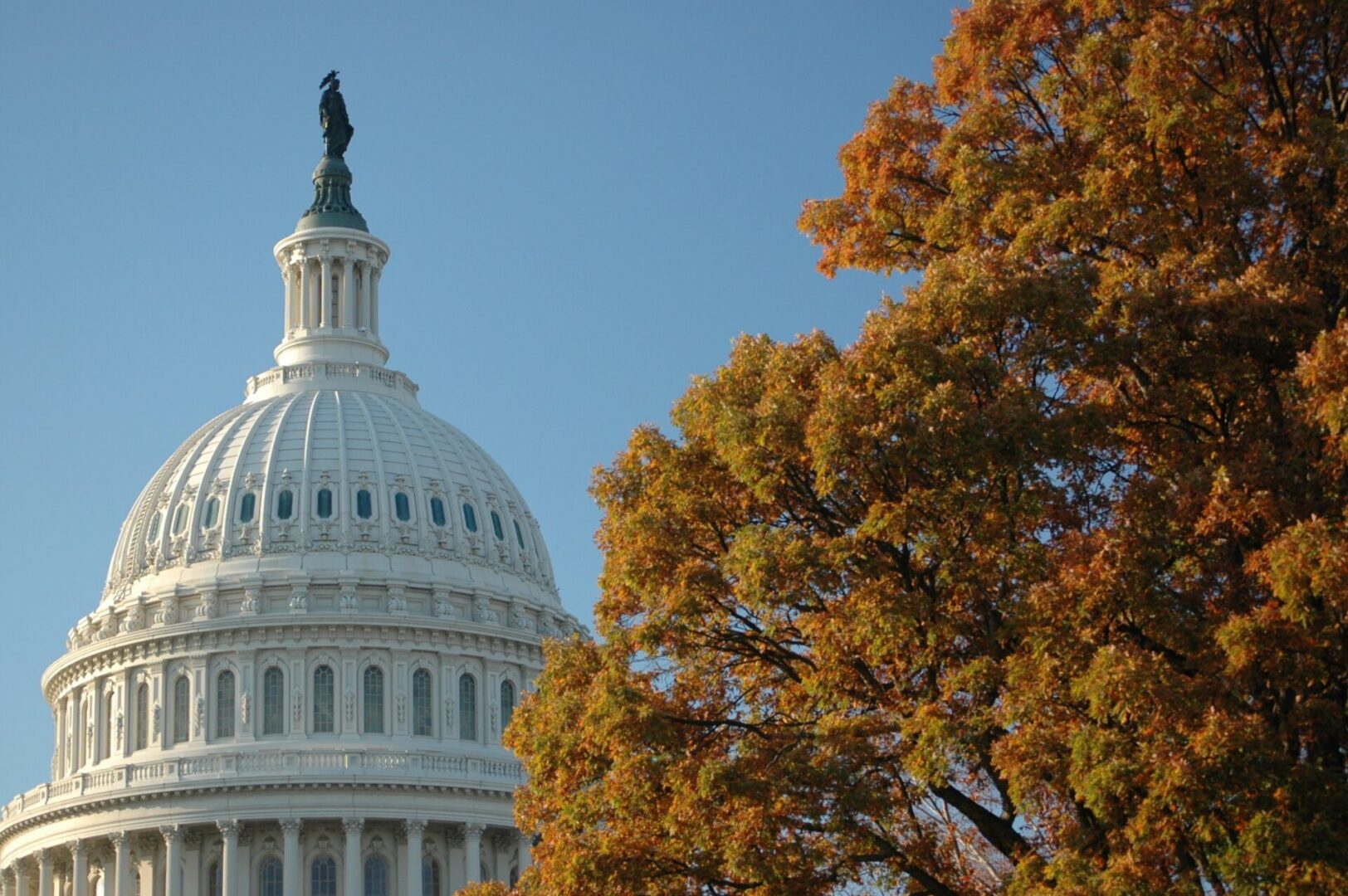 Historic Congressional Forum Addresses Transgender Violence - Believe ...