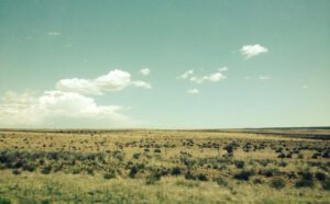 A view from a train window of a grassy field.