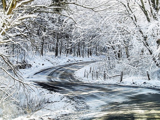 A snowy road surrounded by trees.