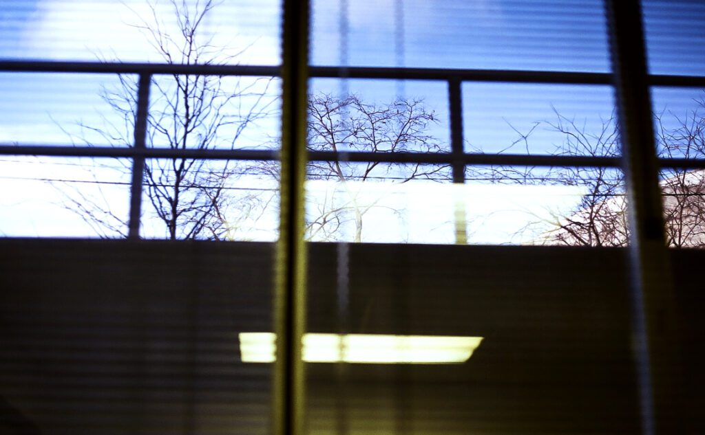 A picture of a tree through a window.