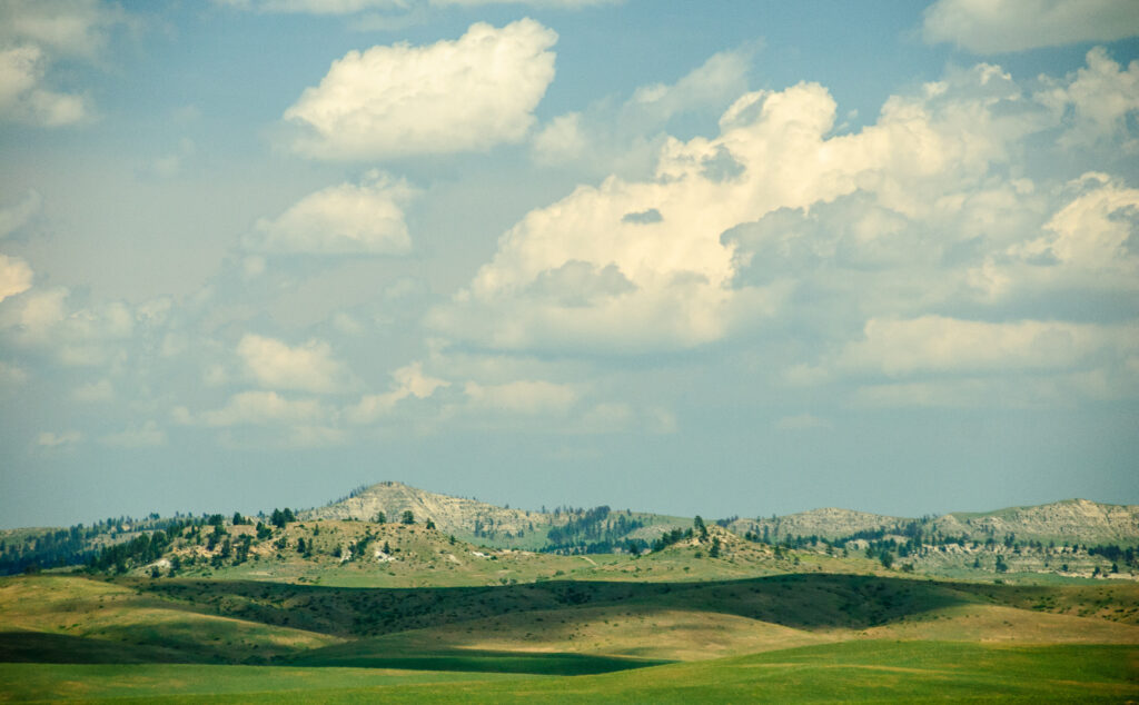 A man is riding a horse in a grassy field.