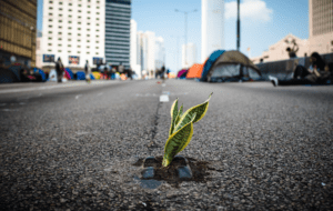 A plant growing out of a hole in the ground.