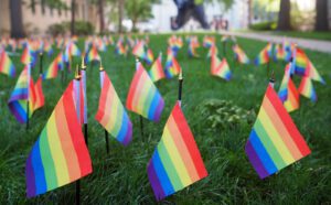 Rainbow flags are placed on the grass in front of a building.