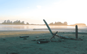 A group of people on a beach near a body of water.