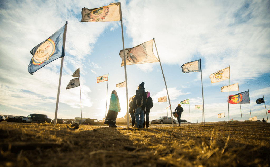 A group of people standing in a field with flags.