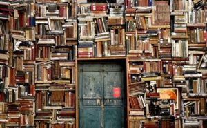 A wall of books with a door in the middle.