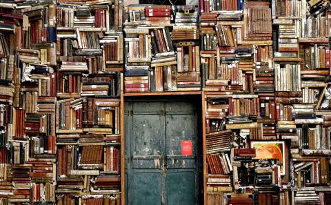 A wall of books with a door in the middle.