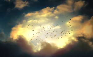 A group of birds flying in the sky.