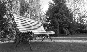 A black and white photo of a bench in a park.