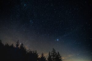 A night sky with stars and trees in the background.